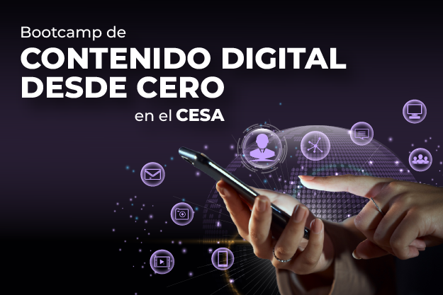 Contenido digital desde cero